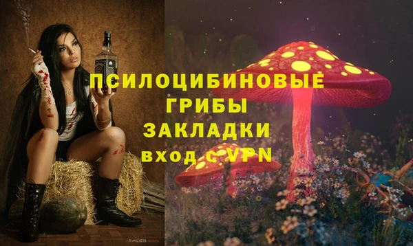 мдпв Алексеевка