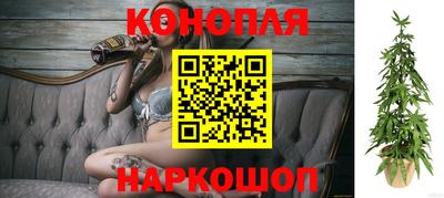 дмт Краснодар