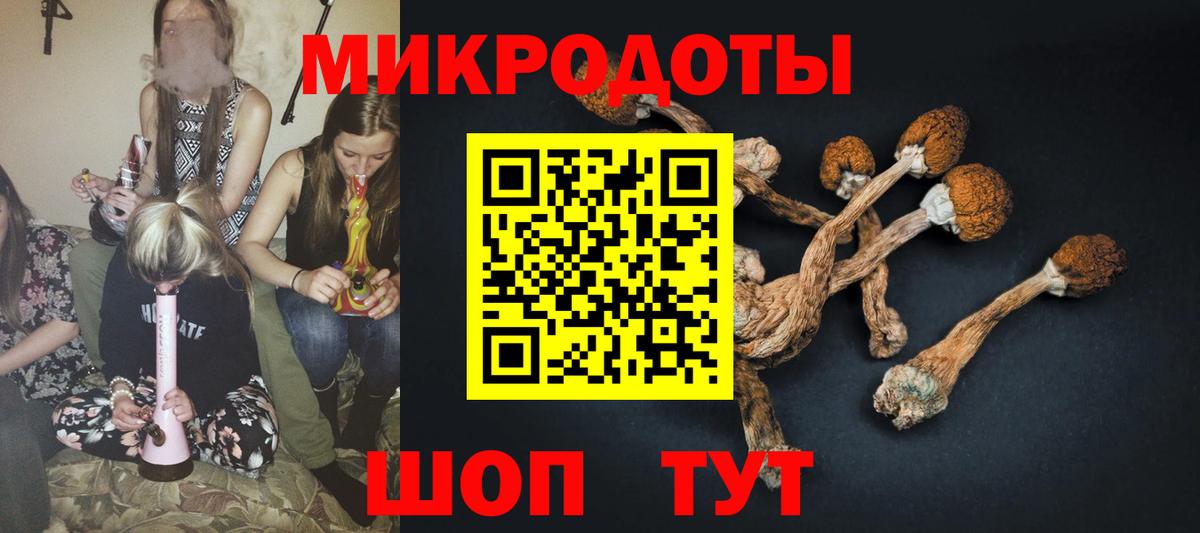 Дзержинский  Псилоцибиновые грибы MAGIC MUSHROOMS  Вход с VPN 